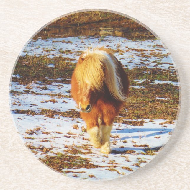 Brown and cream miniature horse in the snow. coaster (Front)
