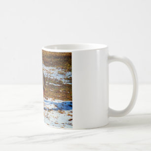Brown and cream miniature horse in the snow. coffee mug