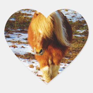 Brown and cream miniature horse in the snow. heart sticker
