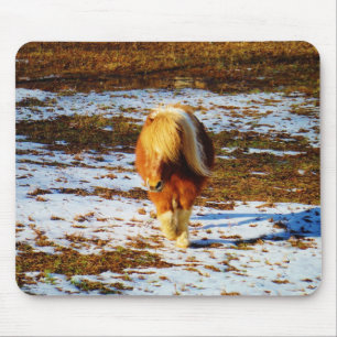 Brown and cream miniature horse in the snow. mouse mat