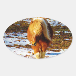 Brown and cream miniature horse in the snow. oval sticker