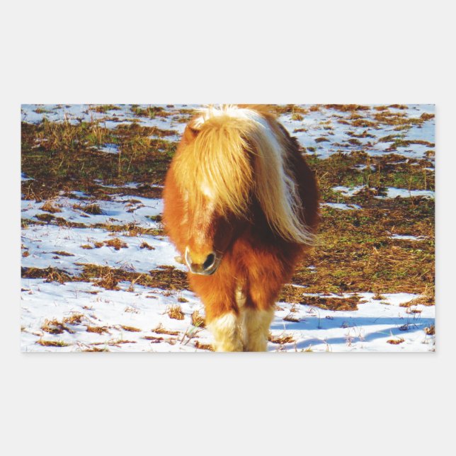 Brown and cream miniature horse in the snow. rectangular sticker (Front)