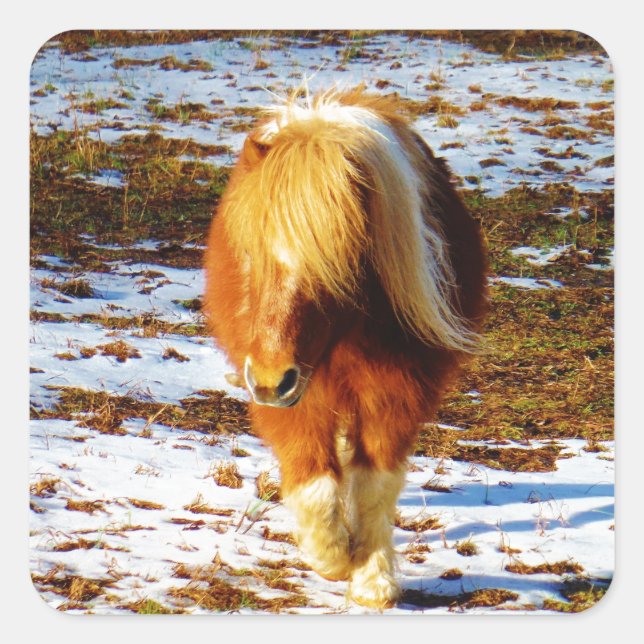 Brown and cream miniature horse in the snow. square sticker (Front)