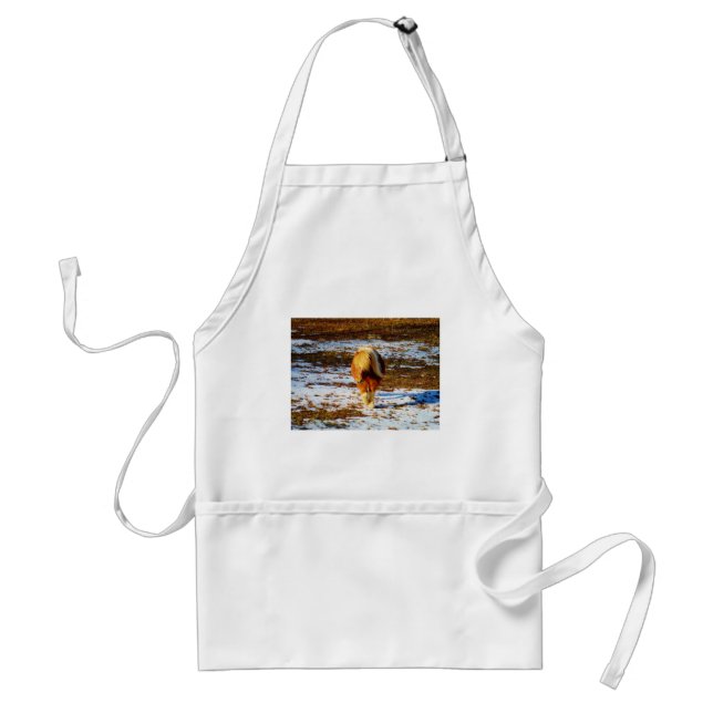 Brown and cream miniature horse in the snow. standard apron (Front)