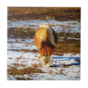 Brown and cream miniature horse in the snow. tile