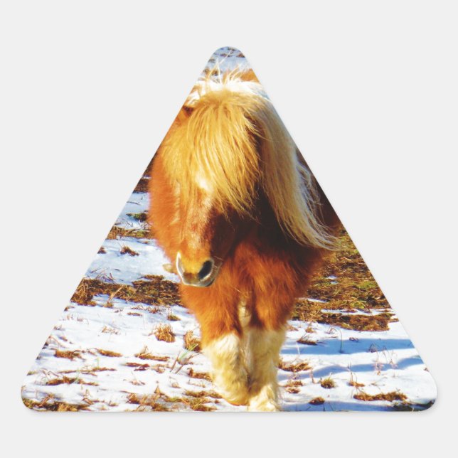Brown and cream miniature horse in the snow. triangle sticker (Front)