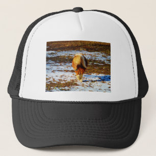 Brown and cream miniature horse in the snow. trucker hat