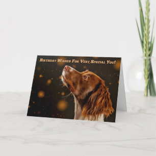 Brown And Cream Springer Spaniel, Birthday Wishes Card