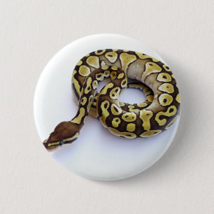 Brown and Gold Ball Python 2 6 Cm Round Badge