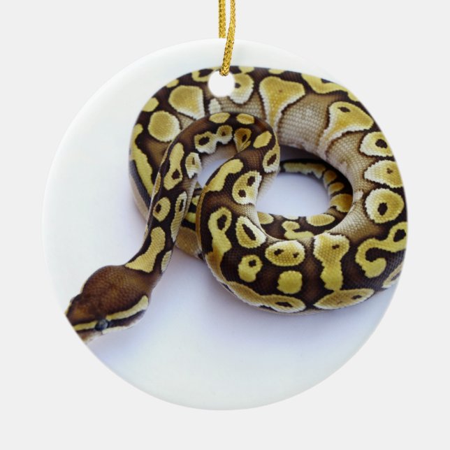 Brown and Gold Ball Python 2 Ceramic Tree Decoration (Front)