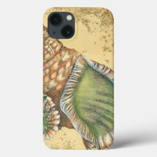 Brown and Green Seashell iPhone 13 Case