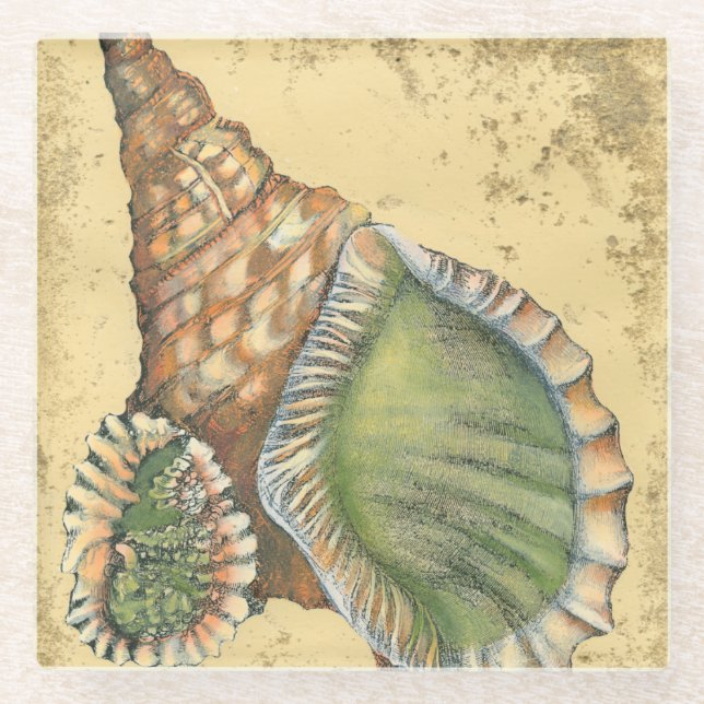 Brown and Green Seashell Glass Coaster (Front)