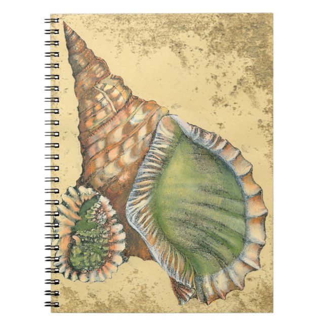 Brown and Green Seashell Notebook (Front)