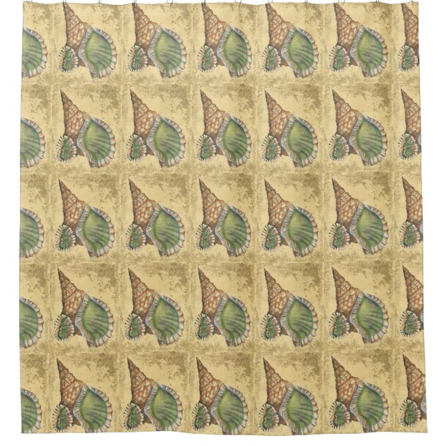 Brown and Green Seashell Shower Curtain (Front)