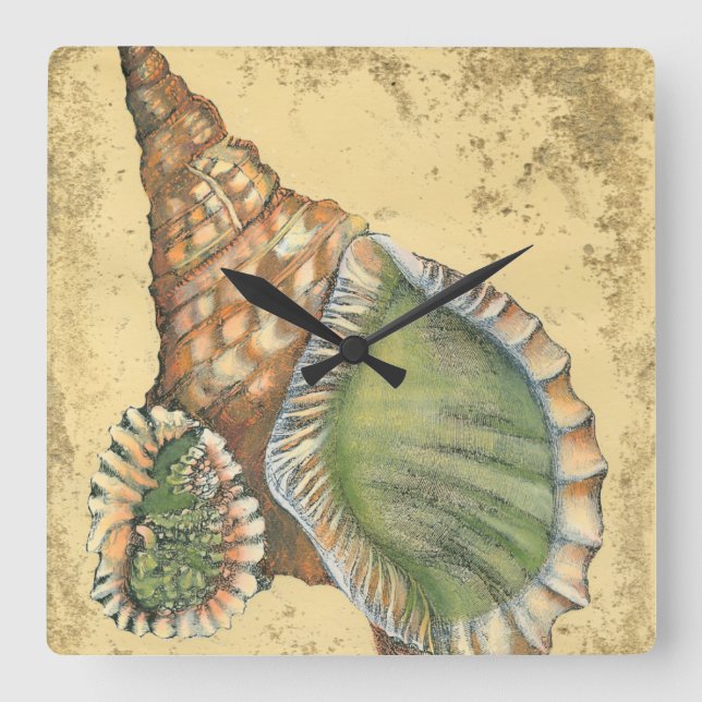 Brown and Green Seashell Square Wall Clock (Front)