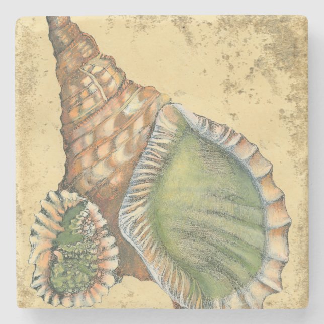 Brown and Green Seashell Stone Coaster (Front)