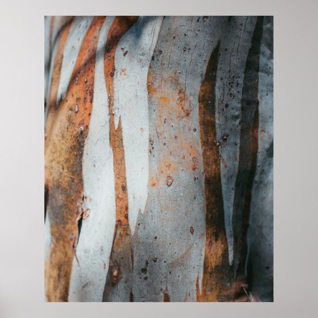 Brown and grey tree trunk poster (Front)