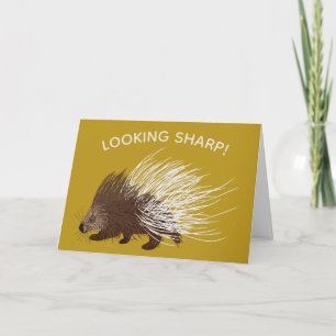 Brown and Mustard Porcupine Birthday Card