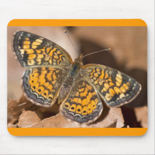 Brown and Orange Moth Apparel and Gifts Mouse Mat