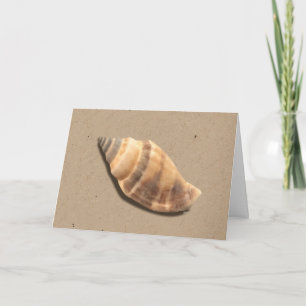 Brown and Tan Striped Conch Shell Greeting Card