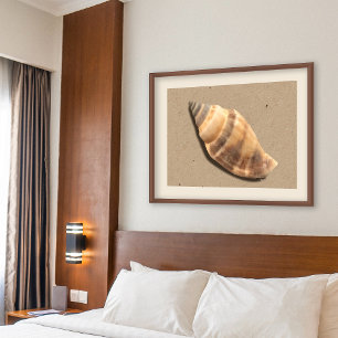 Brown and Tan Striped Conch Shell Print
