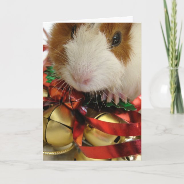 Brown and White Baby Guinea Pig With Bells Holiday Card (Front)