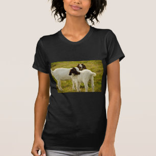 Brown and White Boer Goat Kids in Pasture Photo T-Shirt