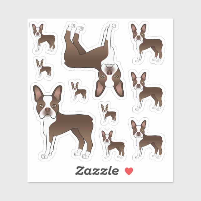 Brown And White Boston Terrier Dog Illustrations (Sheet)
