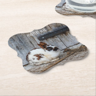 Brown and White Bunny  Rabbit on the Farm Paper Coaster