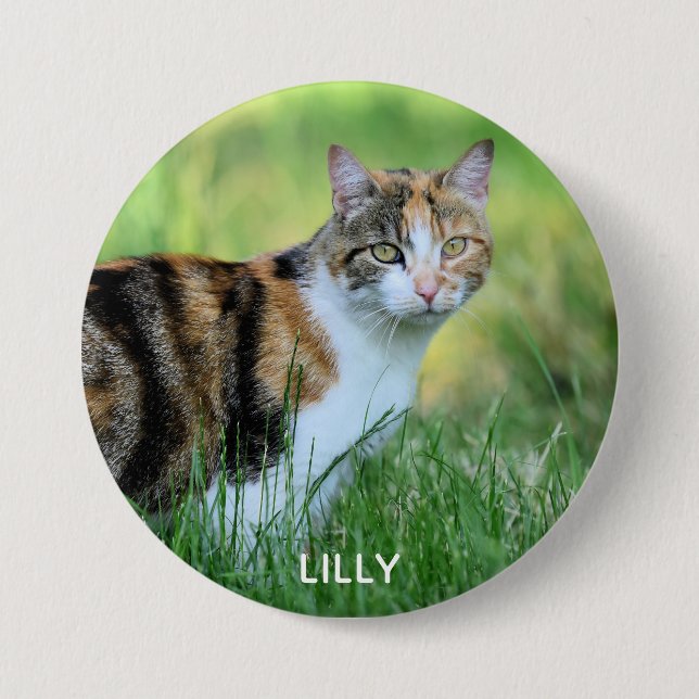 Brown and white cat 7.5 cm round badge (Front)