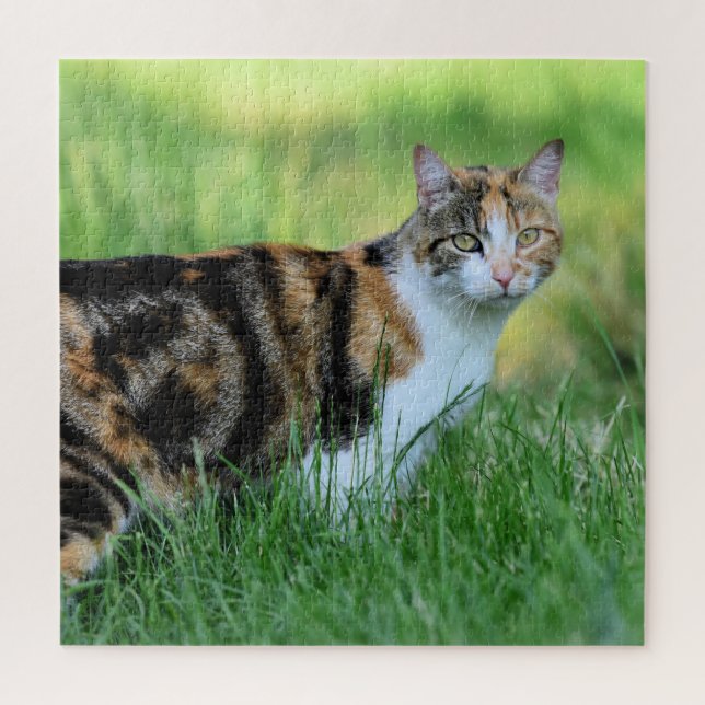 Brown and white cat jigsaw puzzle (Vertical)