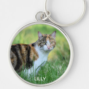 Brown and white cat key ring