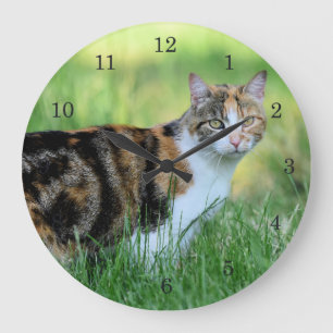 Brown and white cat large clock
