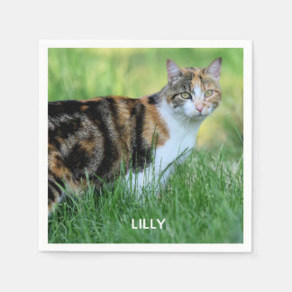Brown and white cat napkin