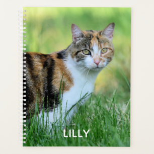 Brown and white cat planner