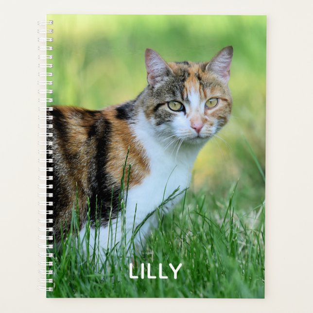 Brown and white cat planner (Front)