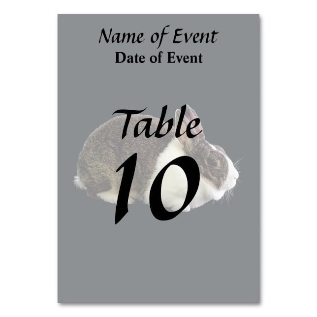 Brown and White Dutch Rabbit Table Number (Front)