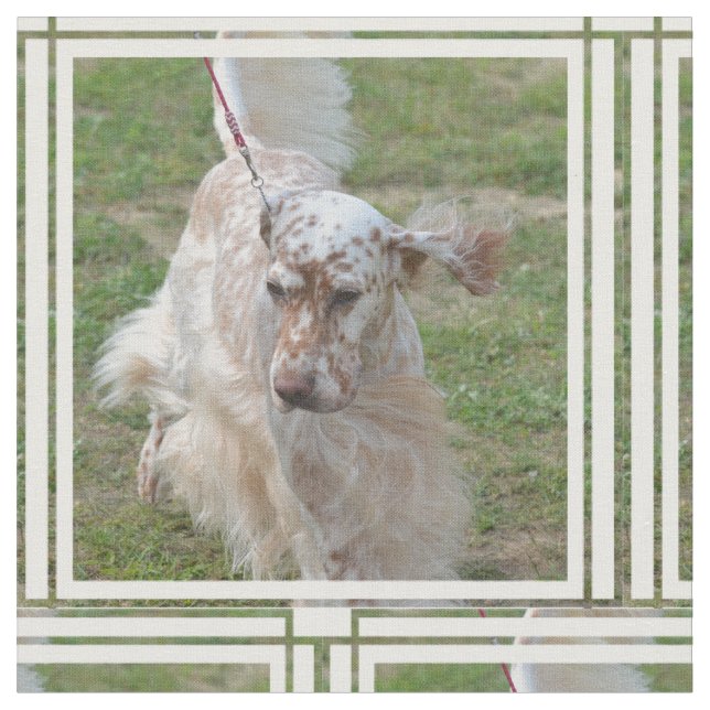 Brown and White English Setter Fabric (Close Up)