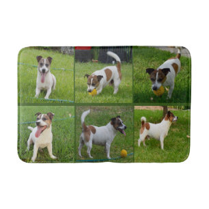 Brown And White Fox Terrier Collarge, Bath Mat