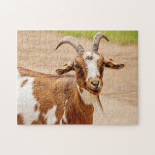 Brown and White Goat Jigsaw Puzzle