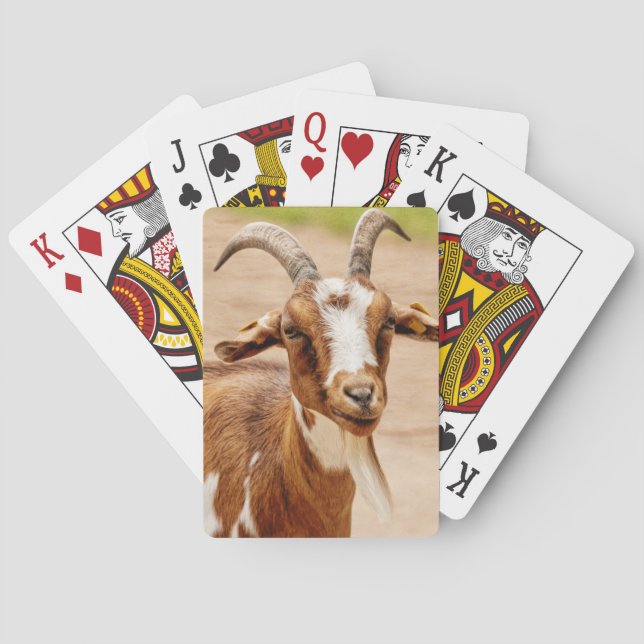 Brown and White Goat Playing Cards (Back)
