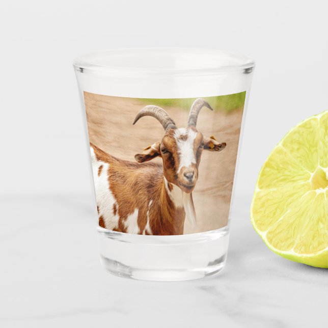 Brown and White Goat Shot Glass (Front)