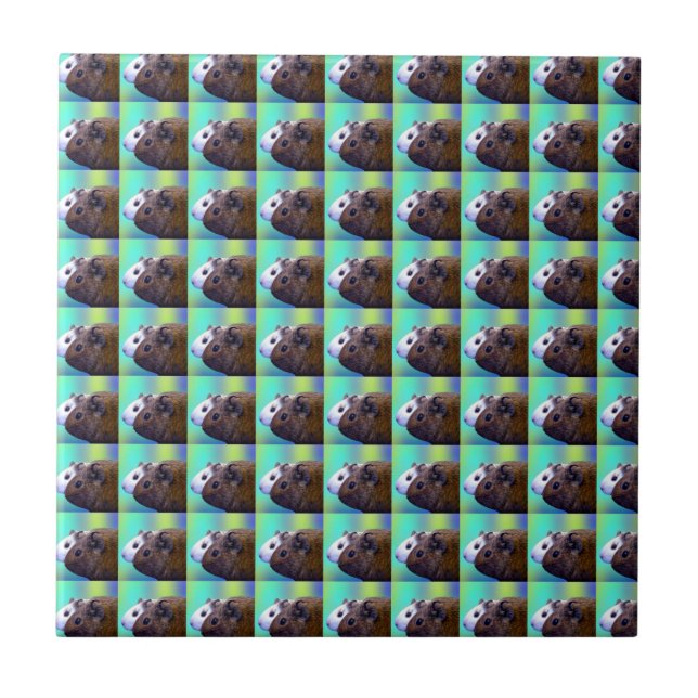 Brown And White Guinea Pig Brick Pattern,  Tile (Front)