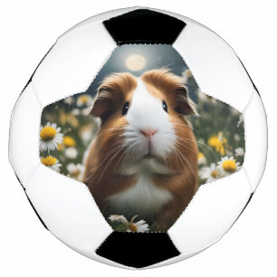 Brown And White Guinea Pig Moon And Daisies, Football