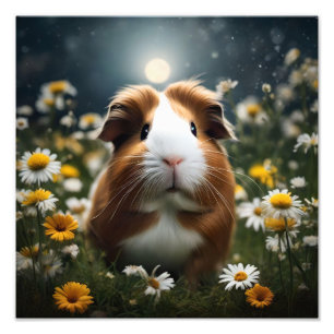 Brown And White Guinea Pig Moon And Daisies, Photo Print