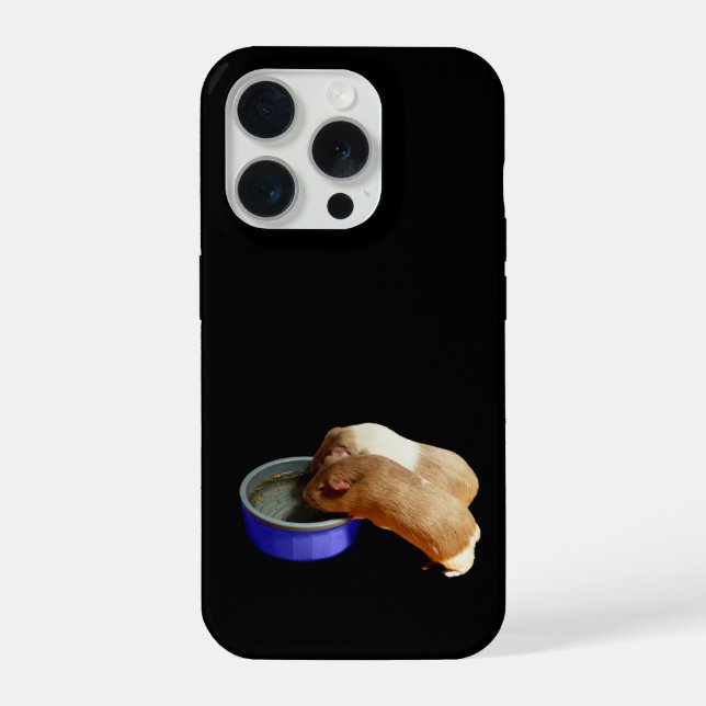 Brown And White Guinea Pigs,  iPhone Case (Back)