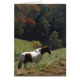 Brown and white horse at autumn pond