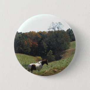 Brown and white horse at autumn pond 6 cm round badge
