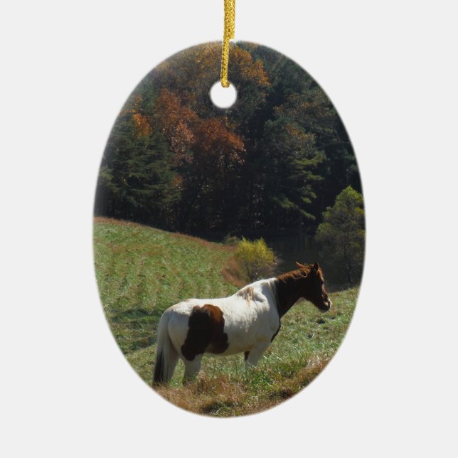 Brown and white horse at autumn pond ceramic tree decoration (Front)