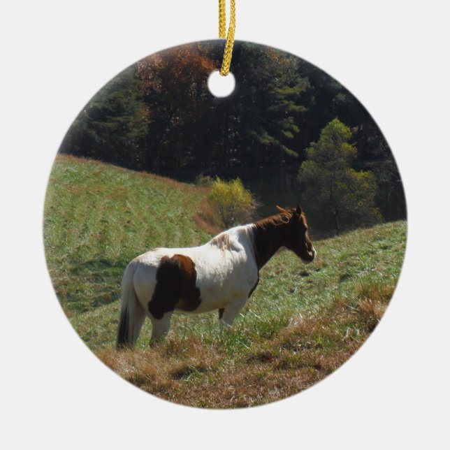 Brown and white horse at autumn pond ceramic tree decoration (Front)